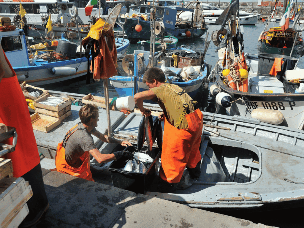 Pescatori al lavoro su una barca in porto durante le operazioni di sbarco del pescato