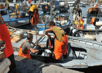 Pescatori al lavoro su una barca in porto durante le operazioni di sbarco del pescato