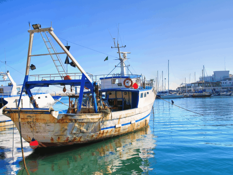 Pescherecci fermi in porto durante la crisi della pesca italiana