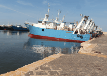 Porto peschereccio di Mazara del Vallo e motopesca della flotta siciliana