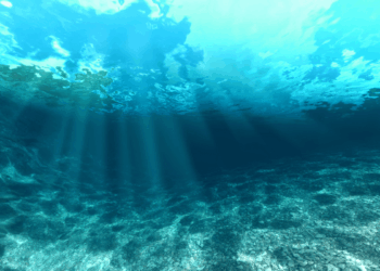 Fondali oceanici e deep-sea mining