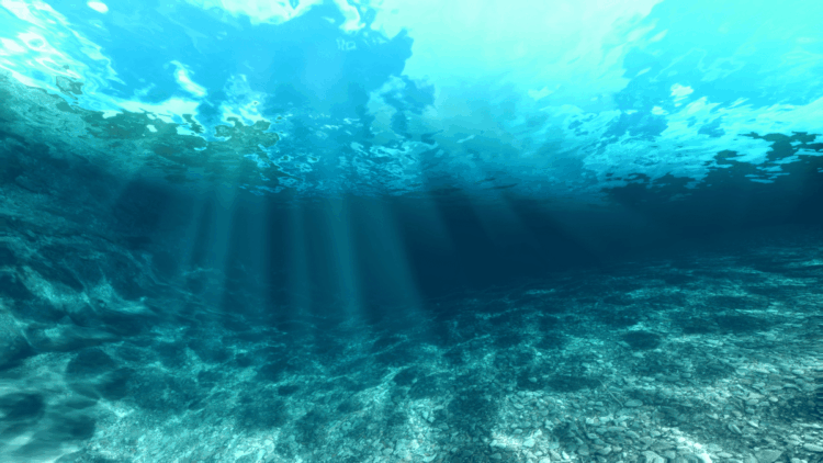 Fondali oceanici e deep-sea mining