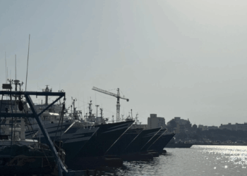 Gestione del gambero rosso nel Canale di Sicilia