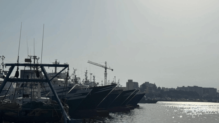Gestione del gambero rosso nel Canale di Sicilia