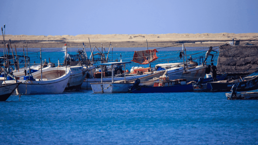 Imbarcazioni da pesca nel porto di Berbera, Somaliland