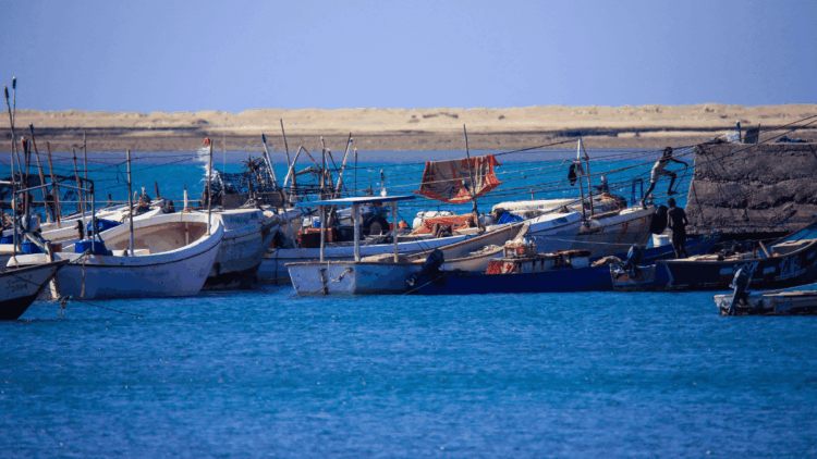 Imbarcazioni da pesca nel porto di Berbera, Somaliland