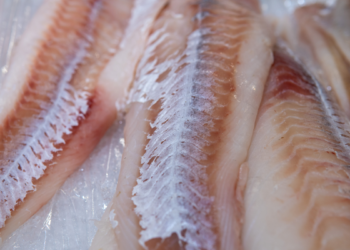 Importazioni UE di pesce russo: merluzzo e pollock