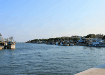 Marano Lagunare e la pesca dei fasolari
