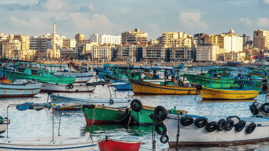Fishing vessels in an Egyptian port where fisheries data are collected