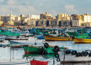 Fishing vessels in an Egyptian port where fisheries data are collected