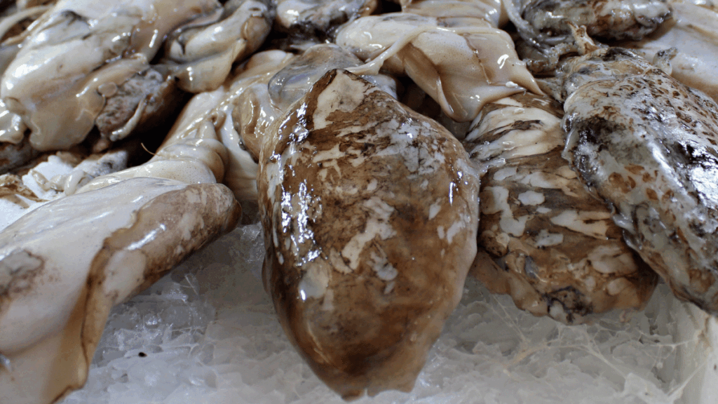 qualità del seafood importato