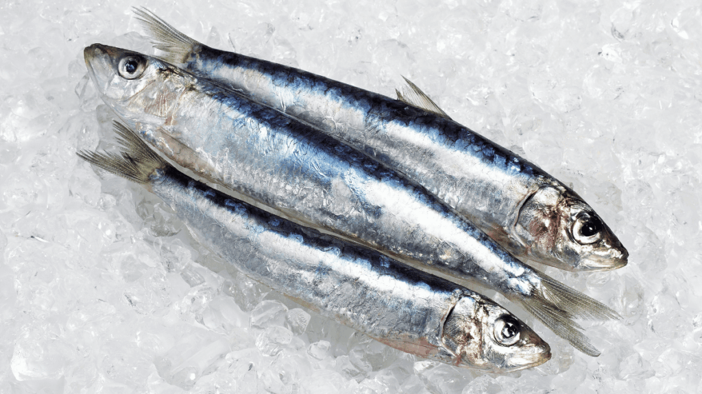 Sardine fresche, pesce azzurro ricco di omega-3 e nutrienti