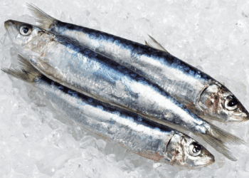 Sardine fresche, pesce azzurro ricco di omega-3 e nutrienti