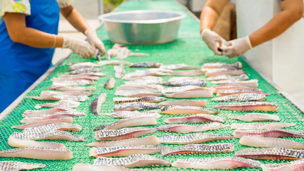 Tilapia vietnamita, cresce l’export nel 2026
