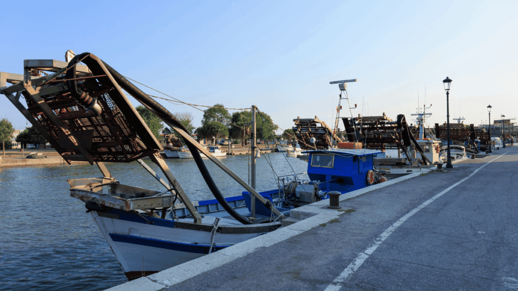aiuti pesca Friuli Venezia Giulia