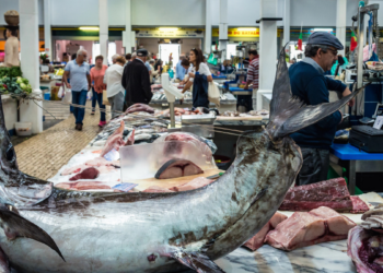 Global seafood demand and income growth