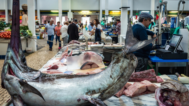 Global seafood demand and income growth
