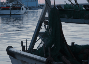 fermo pesca Adriatico 2026