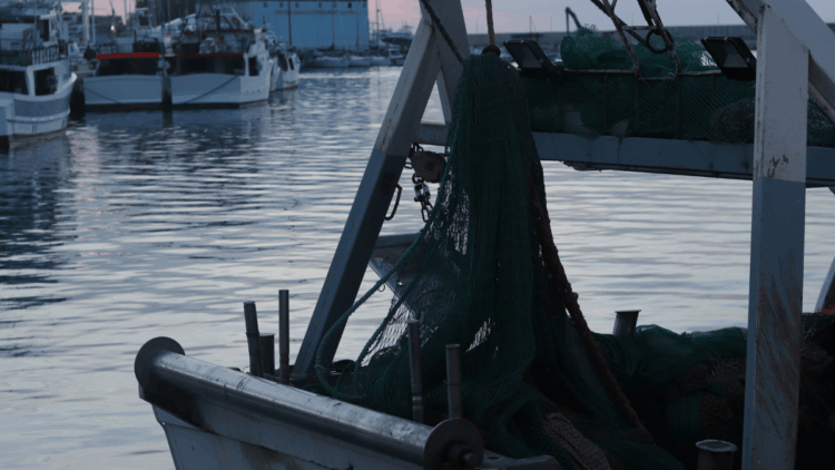 fermo pesca Adriatico 2026