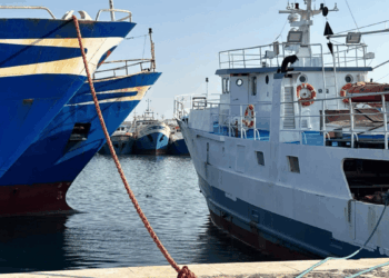 ripresa pesca gamberi di profondità GSA 16 e 19