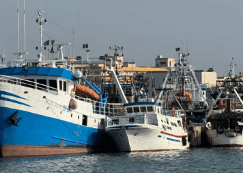 AIC pesca