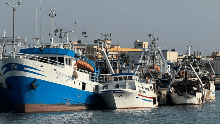 AIC pesca