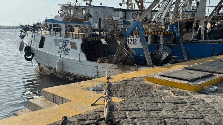 FEAMPA e investimenti nella flotta peschereccia