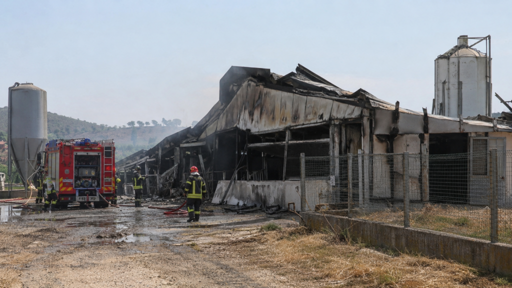 Immagine illustrativa di un intervento dei vigili del fuoco in un allevamento colpito da incendio
