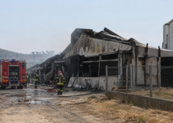 Immagine illustrativa di un intervento dei vigili del fuoco in un allevamento colpito da incendio