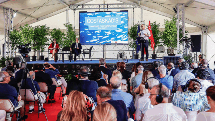 Kadis e la pesca italiana