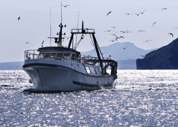 Mediterranean fisheries and multiannual management plans towards 2030
