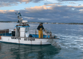 Rete Piccola Pesca Costiera Emilia-Romagna