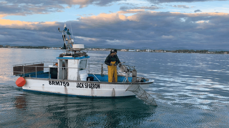 Rete Piccola Pesca Costiera Emilia-Romagna