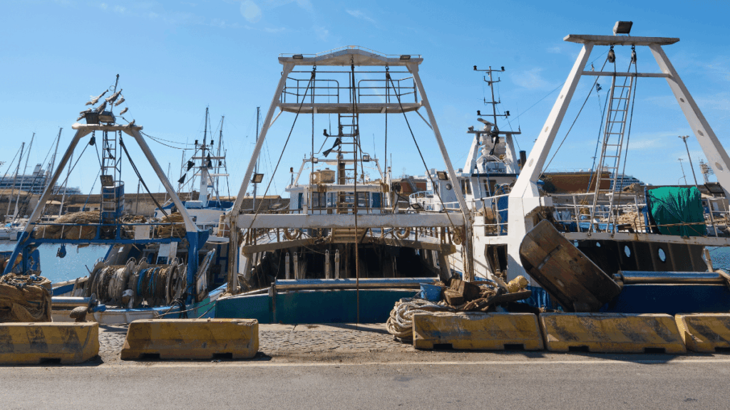Rinnovo flotta
