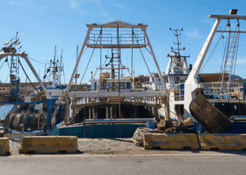 Rinnovo flotta