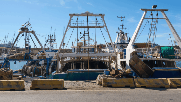 Rinnovo flotta