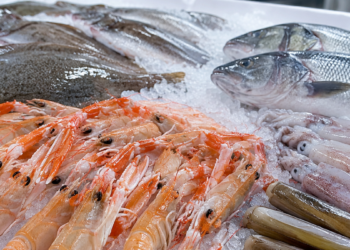 Seafood products on ice for European retail and foodservice buyers