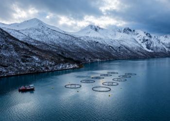 Salmon aquaculture facility in a Norwegian fjord