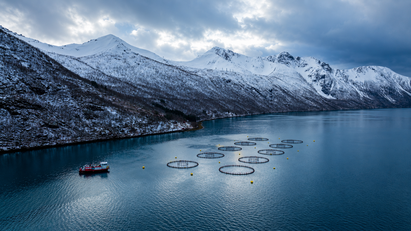 Impianto di acquacoltura del salmone in un fiordo norvegese