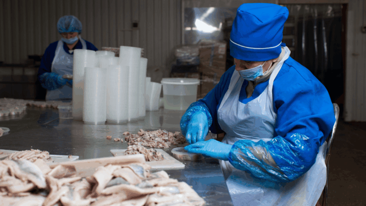 approvvigionamenti europei di pollock e merluzzo