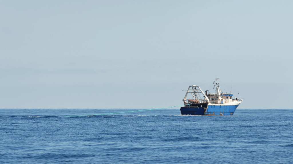 capacità della flotta UE