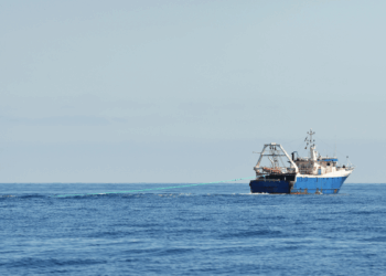 capacità della flotta UE