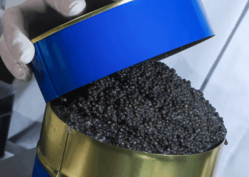 Imported caviar at the centre of the European debate on origin transparency
