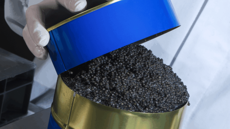 Imported caviar at the centre of the European debate on origin transparency