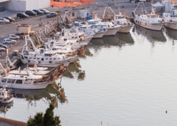 credito d’imposta pesca