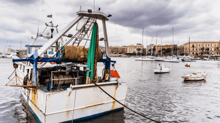 credito d’imposta pesca