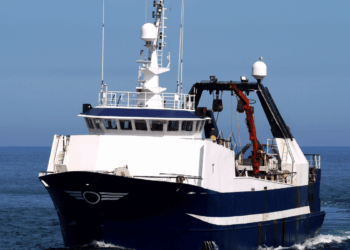 decarbonizzazione flotta UE