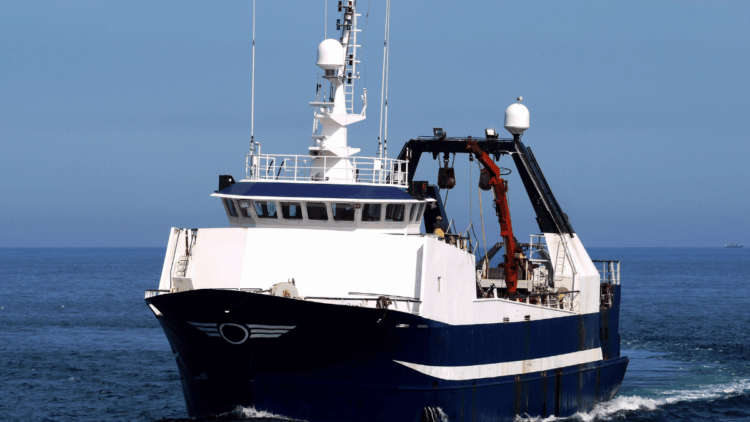 decarbonizzazione flotta UE
