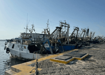 fermo gambero rosso fino al 5 ottobre