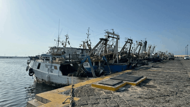 fermo gambero rosso fino al 5 ottobre